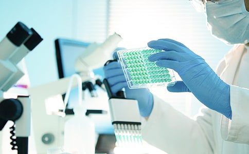 日本早稻田研究生申请要求