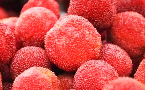 实用的杨梅作文300字常用(5篇)