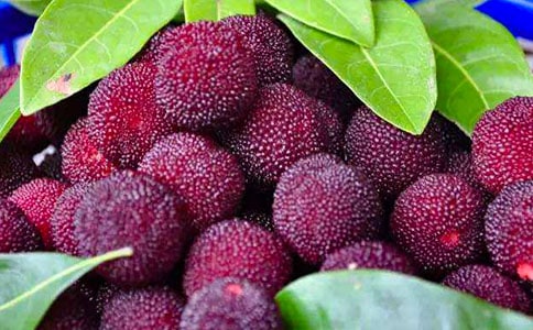 ��ʵ�á���÷����300��5ƪ