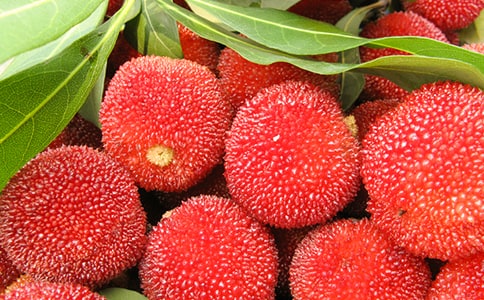 ����÷�������