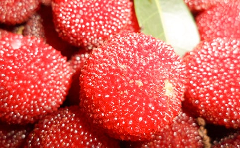 【经典】杨梅作文300字