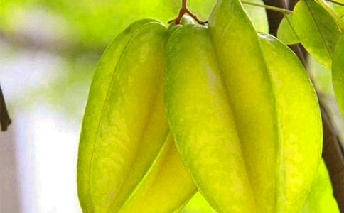 杨桃的作文300字