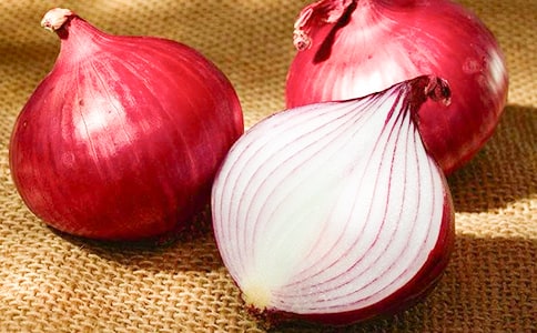 (精华)《洋葱头历险记》读后感15篇