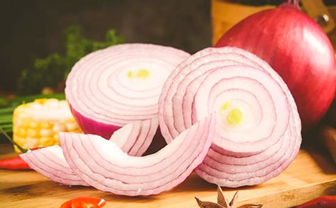 《洋葱头历险记》读后感13篇