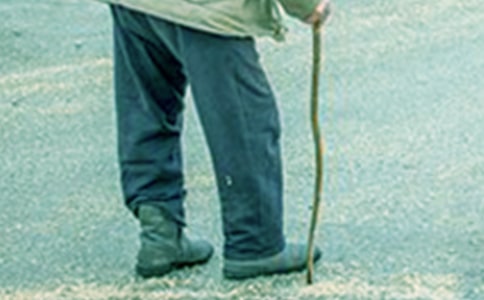 ����·Сѧ:ϲӭʮ�Ŵ�����ϰүү˵�����ﻰ