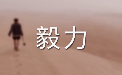 谈毅力二年级暑假日记200字