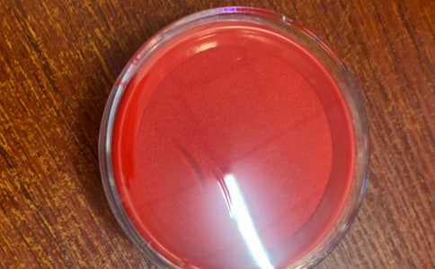 ����Сӡ��һ�꼶�ռ�50��