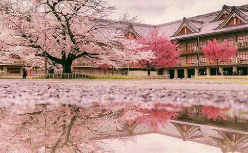 ����ӣ��С��������800��