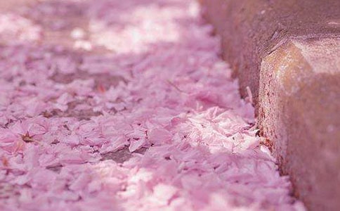 ͨ������ӣ���ľ���34��