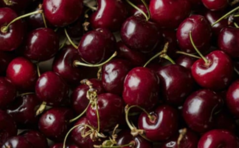 《外公是棵樱桃树》读后感(精选32篇)