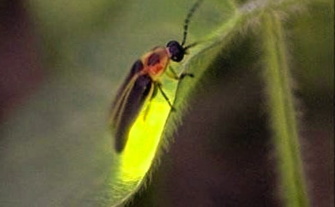 ��ө��桷����У���ѡ20ƪ��