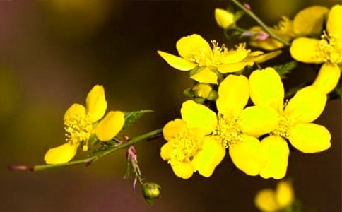 ��дӭ�����������˸о��ӱ��ﰮ�����ͼƬ