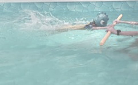 少儿游泳运动员标准