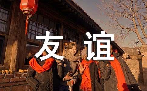 小升初优秀作文:友谊