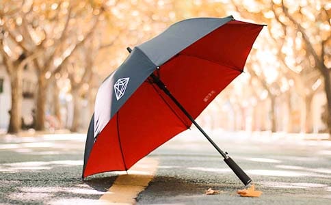 雨伞的单词怎么写