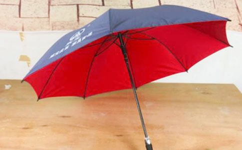 实用的雨伞作文300字(精选4篇)