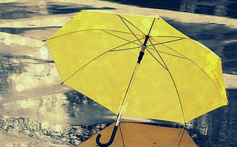 雨伞的单词怎么