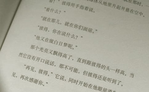 小学语文活动方案