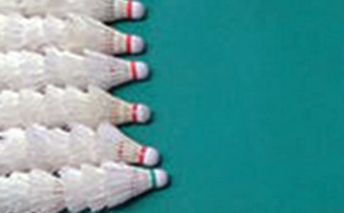 羽毛球比赛活动方案