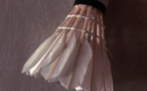 ��ë�������������Ƽ���