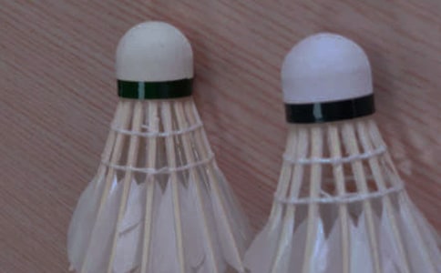 羽毛球赛策划书