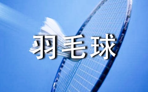 羽毛球比赛策划书范文