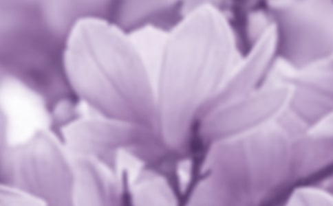 ��д����������������