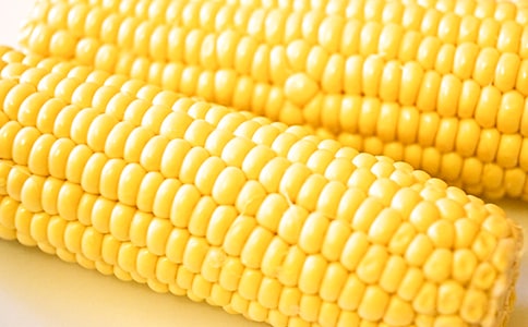 形容玉米的句子24条