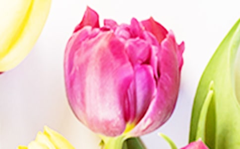 ��д������ľ���