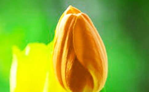 ������˵˵