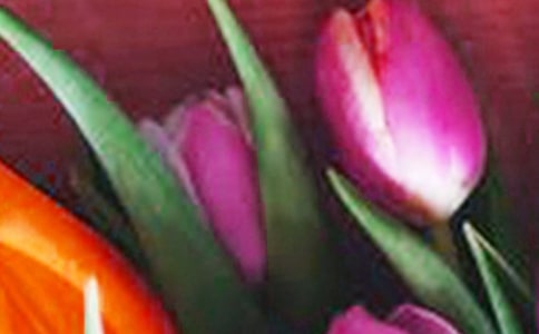 公园看郁金香朋友圈的说说