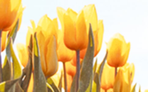 ������˵˵9ƪ