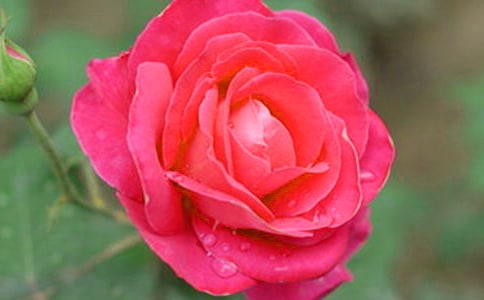 2023��ͨ�������¼����ľ���21��