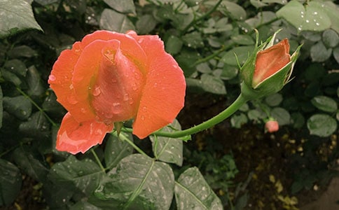 �����¼������������� ��д�¼���������������