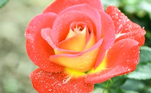 �����¼����ľ��ӻ��38��