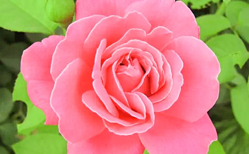 ��д�¼�������������