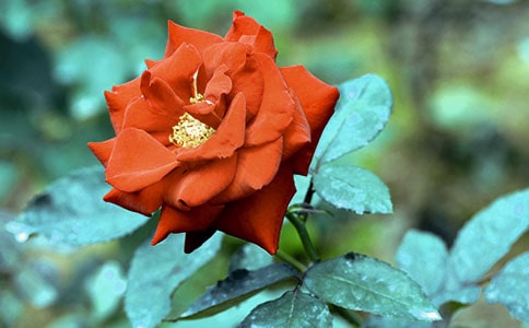 ��ѡ�����¼����ľ��Ӵ�ϼ�59��