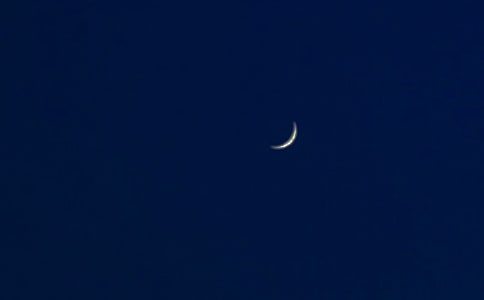 ��д��������������15ƪ