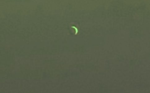 描写月亮的优美诗句(8篇)