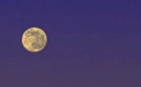 ��Բ�ǻ�����ȱ��ʫС��������1000��