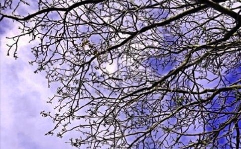 流行个性早安句子大全65句精选