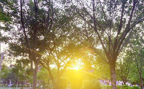 ��������Ȧ�簲����120�侫ѡ