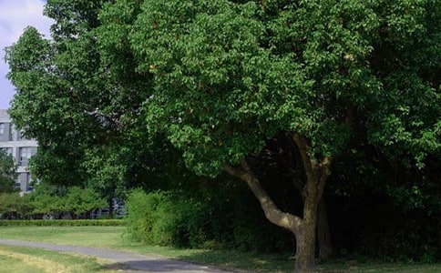 早安简单的句子