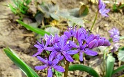 微商早安正能量签名精选35句