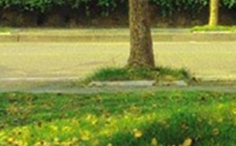 ����ů���簲˵˵��ȫ100�侫ѡ