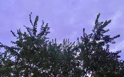 推荐个性早安句子大全(精选185句)