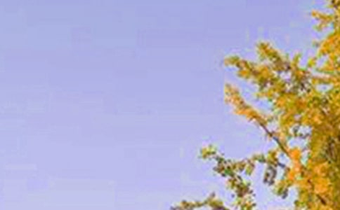 ���������簲˵˵����ѡ90�䣩