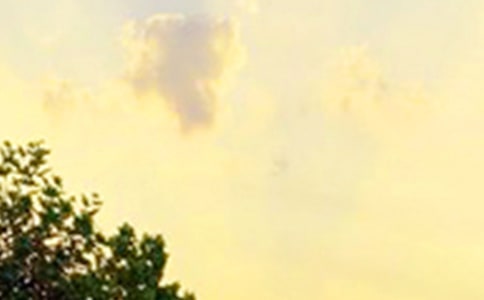 ���õ��簲ף����