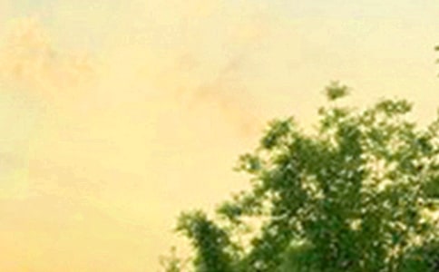 �簲�����������ĺþ���