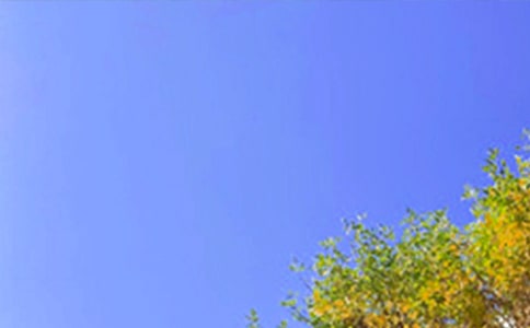 �簲ף���ľ���